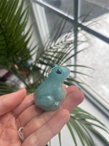 Blue frog friend