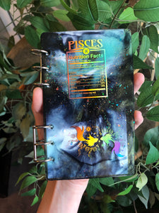 Pisces and Aries notebooks
