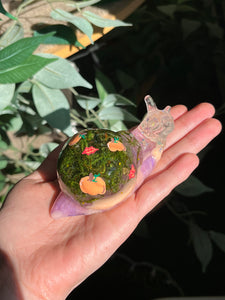 Pumpkin painted snails