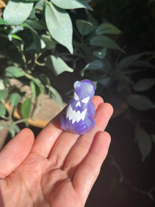 Purple jack-o’-lantern frogs
