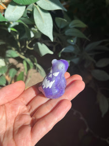 Purple jack-o’-lantern frogs
