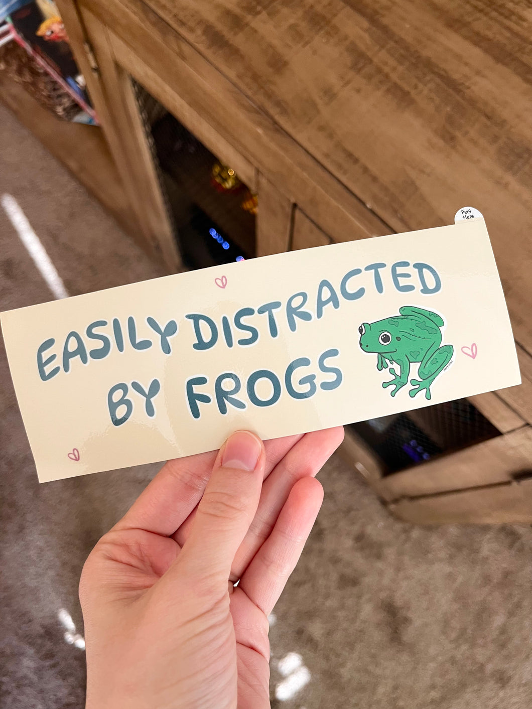 Easily distracted by frogs bumper sticker