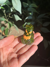 Laden Sie das Bild in den Galerie-Viewer, Moss jack-o’-lantern frogs